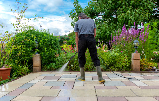 Best Animal Enclosure Cleaning  in Lower Grand Lagoon, FL